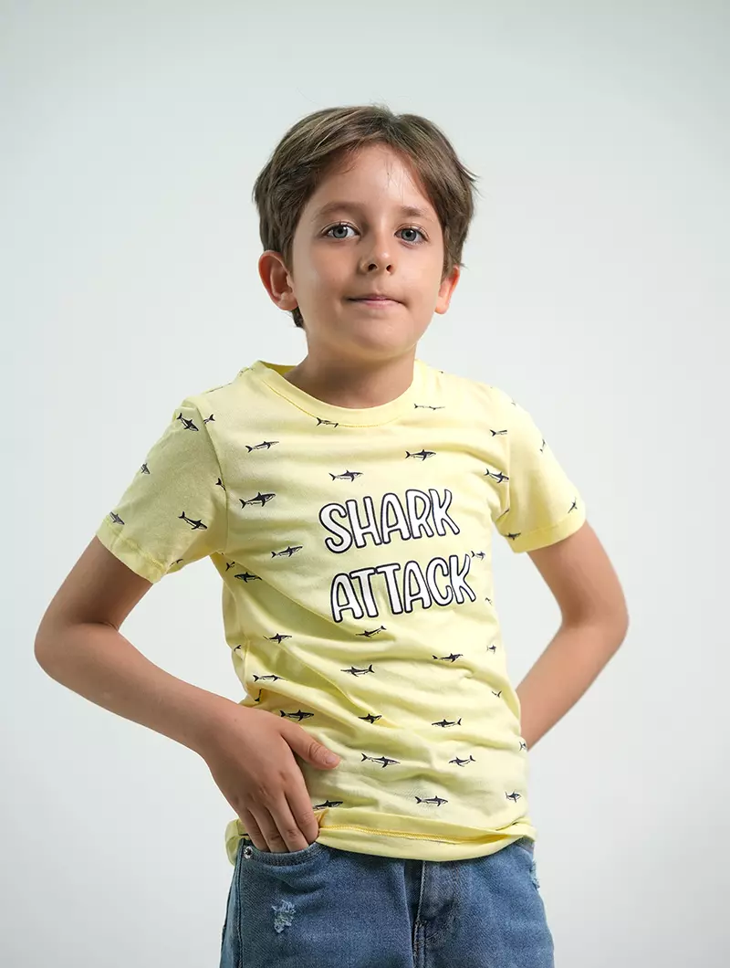T-shirt motif imprimé garçon